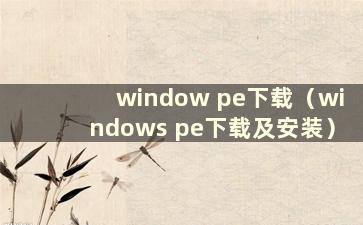 window pe下载（windows pe下载及安装）